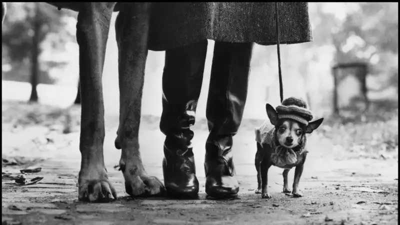 Una rilettura inedita dell'opera di Elliott Erwitt, l'uomo dietro l'obiettivo