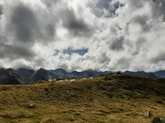 Discordi montagne (La gaia cecità #3)